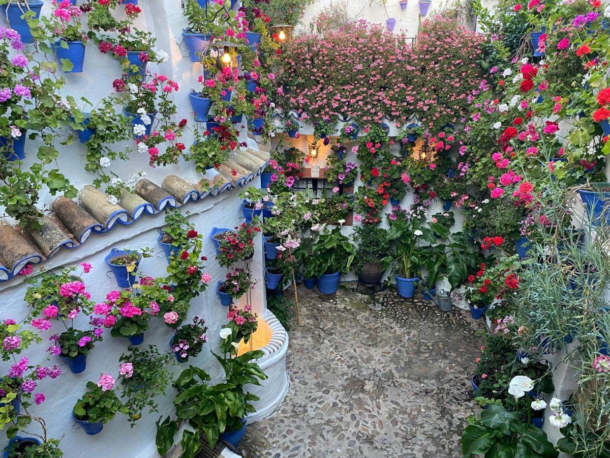 Atico Casa Lola Lägenhet Córdoba Exteriör bild