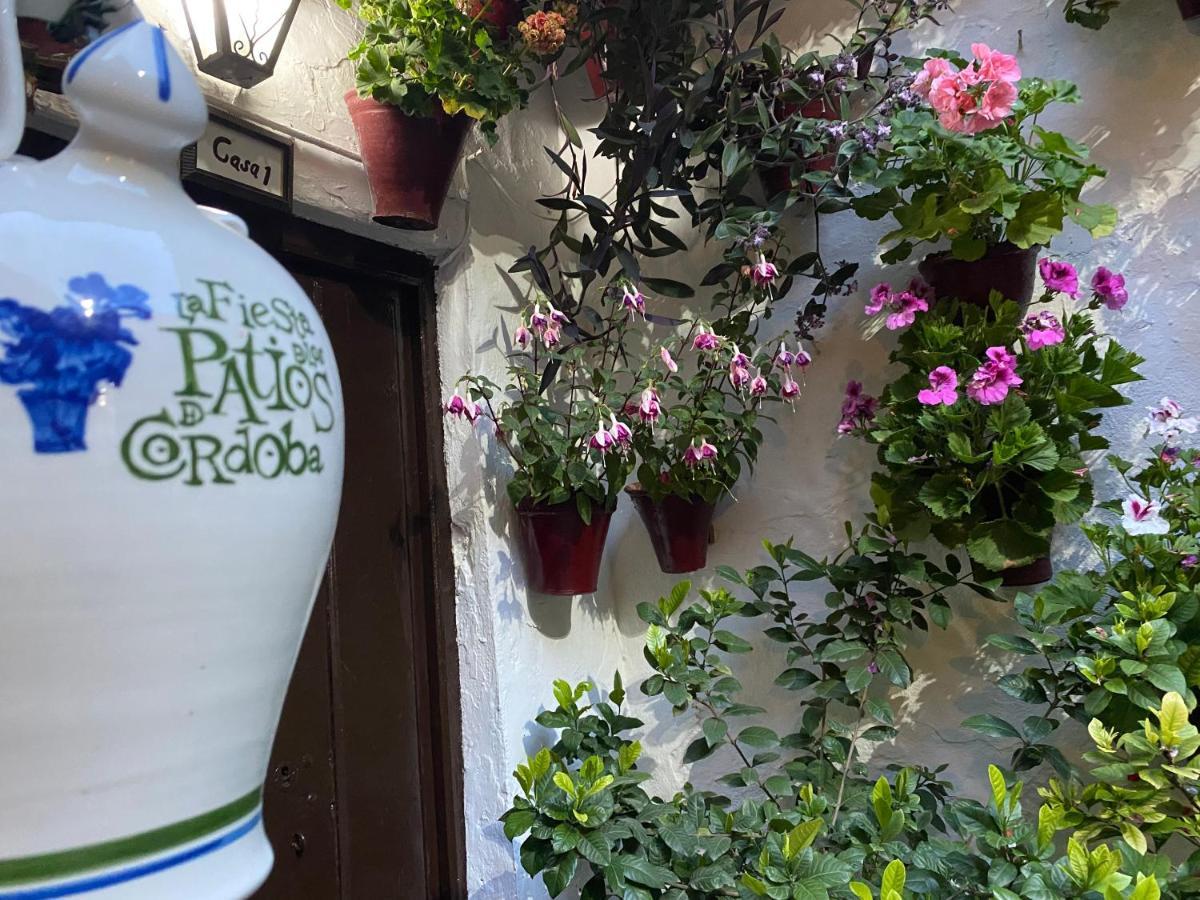 Atico Casa Lola Lägenhet Córdoba Exteriör bild